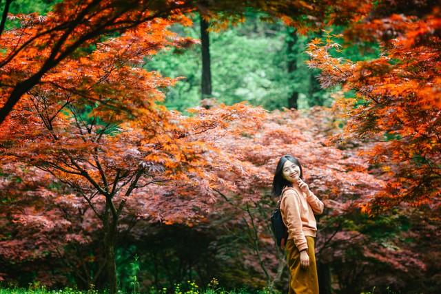 浙江深秋封神路线！红叶、银杏、古寺藏禅，承包江南最绝秋景！
