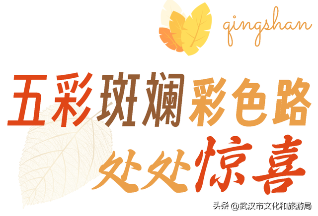 大降温后，青山最美冬景即将上线！