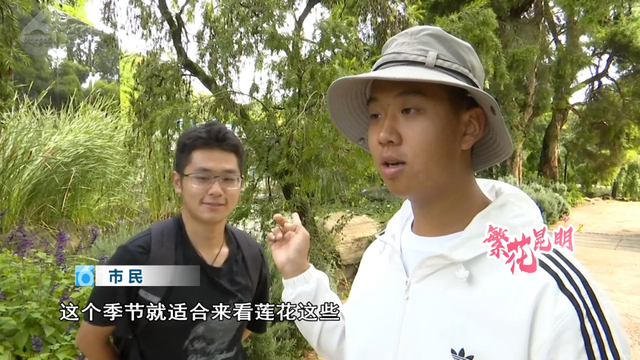 全国入秋？昆明：且慢！植物园还在上演“春日”续集