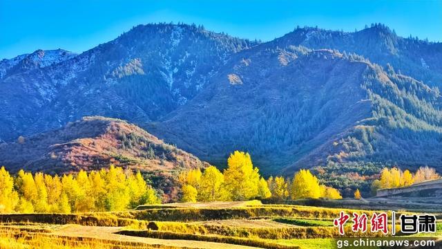 甘肃民乐：祁连山金色秋景如画卷
