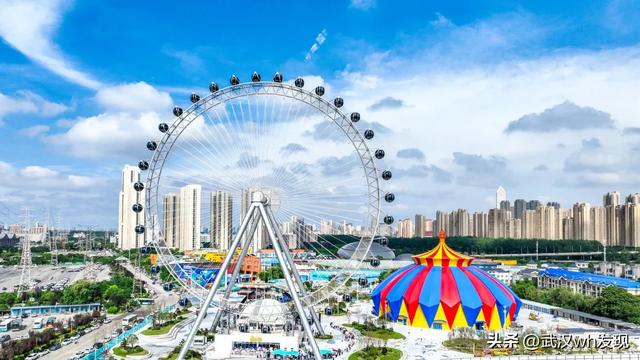 祖国最可爱的人免费游园！市民玩水听歌全免费！22℃极地清凉一夏