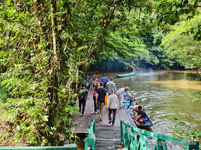 马来西亚(29)砂拉越州③姆鲁山清水洞·风洞