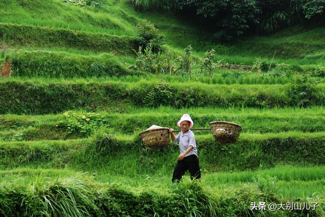 十二年前：西江苗寨之行
