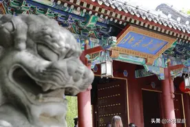 这6个星座，能考上好大学，最有大学命的星座第一名居然是他图片