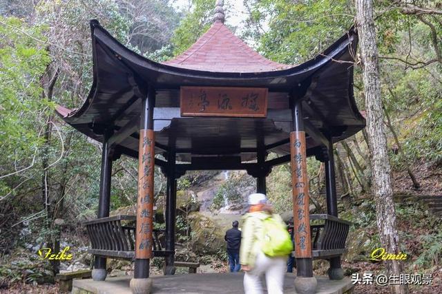 影记 | 衢州钱江源国家森林公园