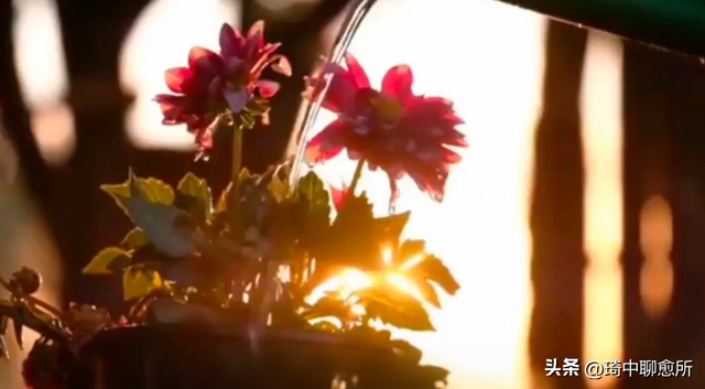 巨蟹座：你有喜事了！1月14日后，一生中最大的3桩美事降临