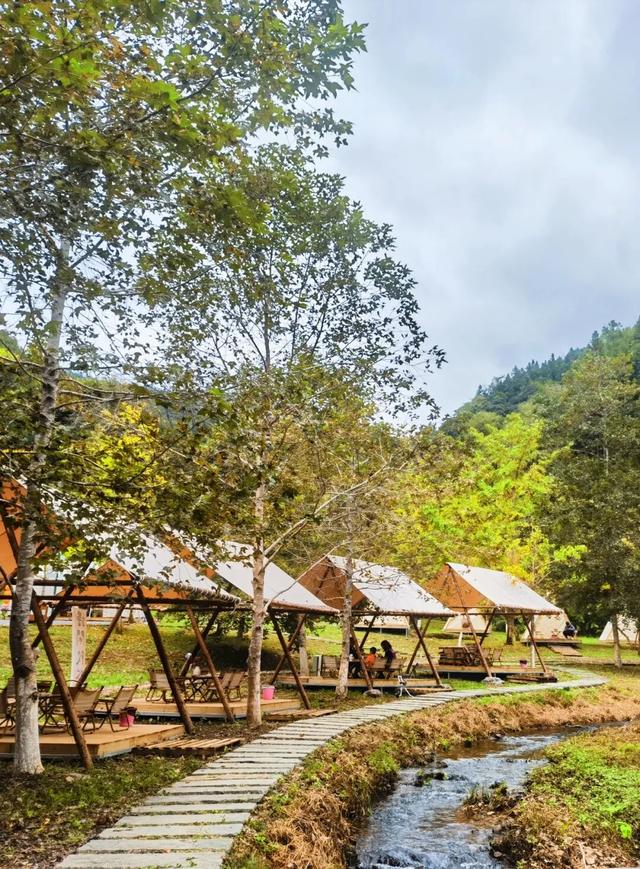 别卷作业了，卷卷大自然！韶关秋日研学，让娃成为朋友圈最酷的崽