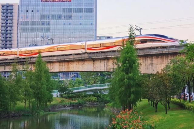 三条高铁并行！桥下还有“宝藏”，等你发现！