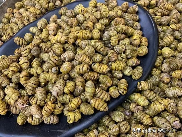 十大石斛排名 十大石斛排名图片