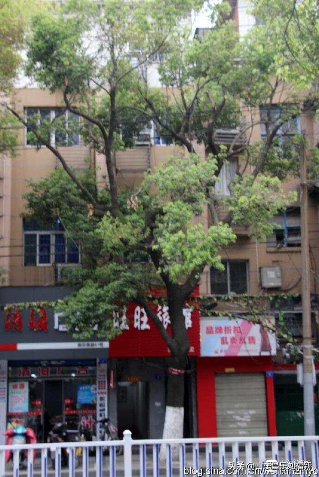 从九江到南昌：我的见闻与感慨 （江西之旅第十六篇）