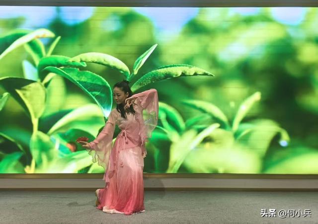 茶旅融合+宣传矩阵 宜兴茶促会让千年贡茶潮起来