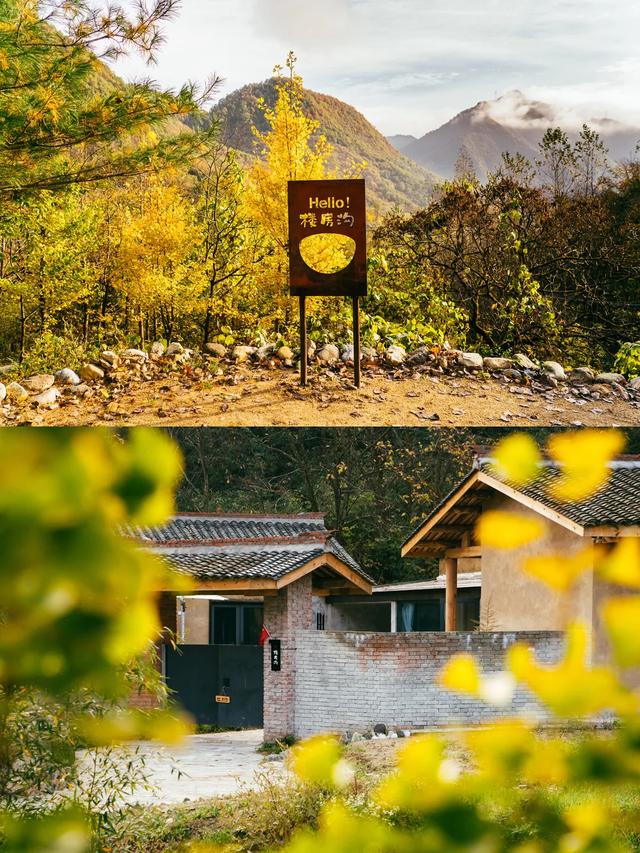 山野拾童趣！带娃来汉中这里，共享秋日亲子好时光~