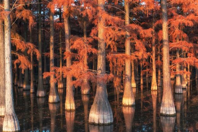 湖北小众秋色段位榜：这6条宝藏路线，让你独占整个秋天！