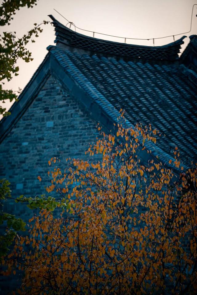 我们把台儿庄古城的秋天“晒”满了朋友圈，温柔了整座古城的初冬