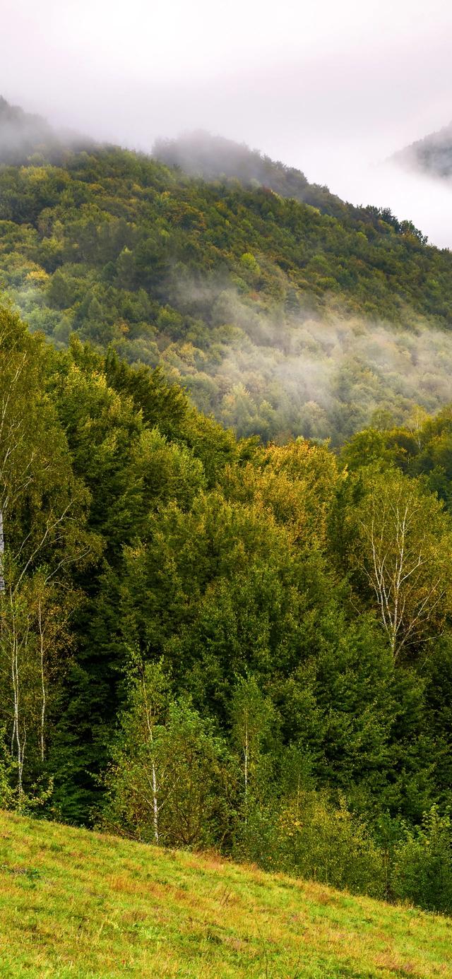 手机壁纸|秋天自然绝美风光美景
