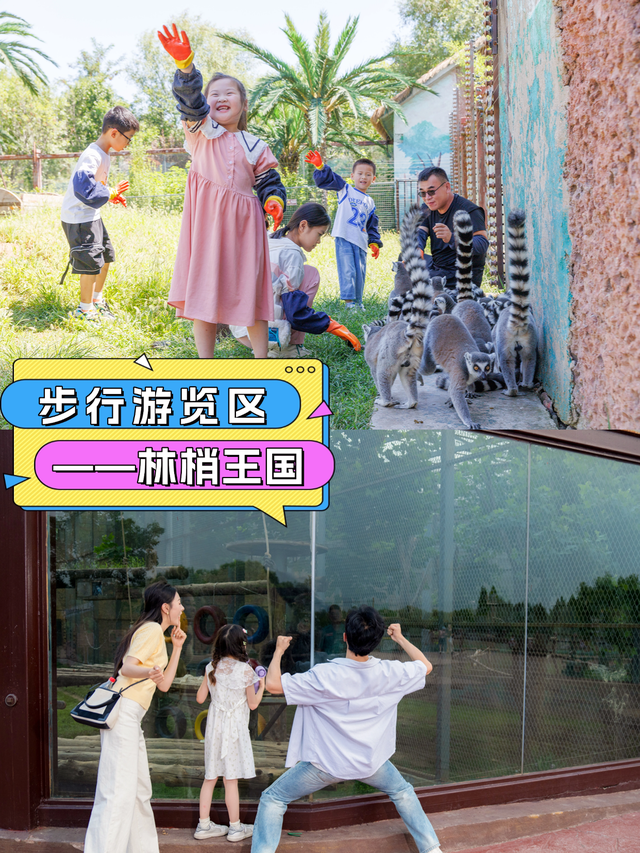 济野大放价！9月去太划算了，打卡攻略让你不错过每一处精彩！