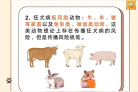 被狗抓伤不会得狂犬病？疫苗可以晚几天再打？这些误区要远离→图片
