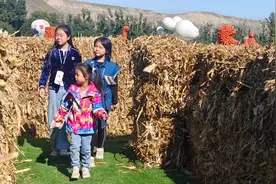 休闲好去处｜石人农场近十万个南瓜带您乐享诗意盎然的田园生活图片