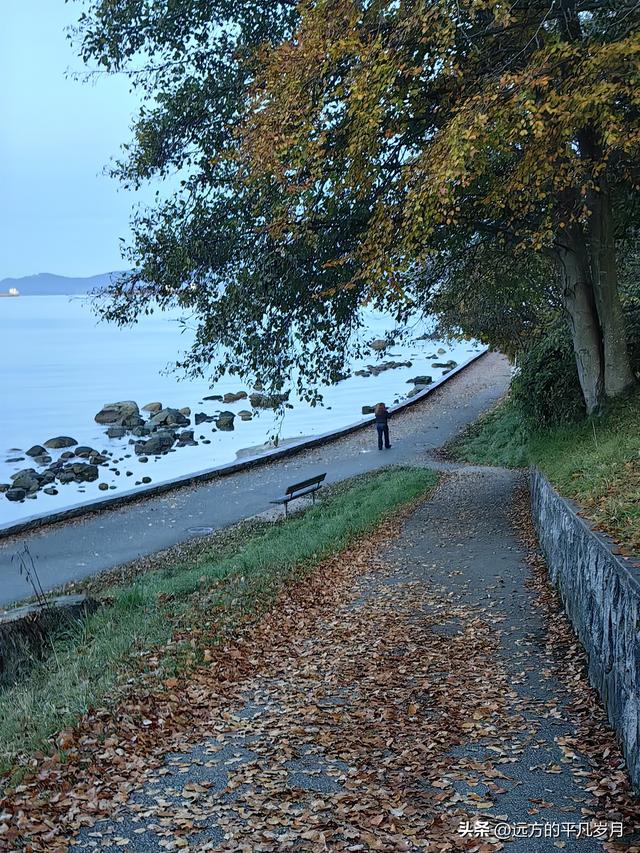 温哥华游记（四）