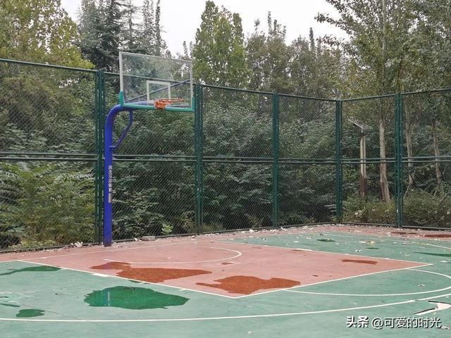 寻趣石家庄——光华路上的绿化带