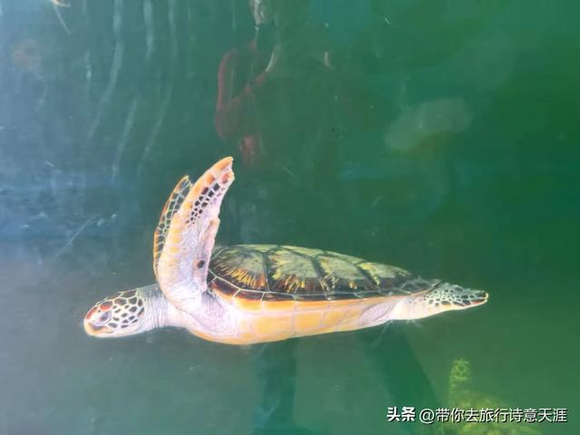 惠州双月湾，内海与外海的海韵迥然不同
