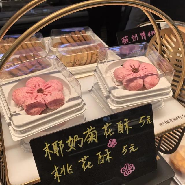 回民区：被星光接住的夜晚 蒙亮星光里的聚会自带滤镜