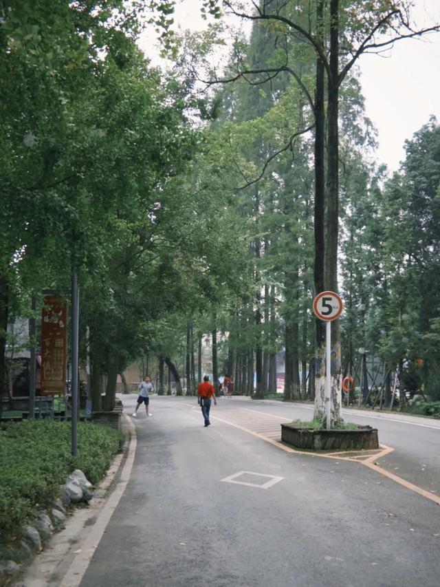 在成都西北郊区，这个渐渐淡出视野的最美乡村，还值得一去吗？
