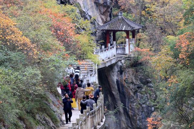 这才是秋天该有的样子~