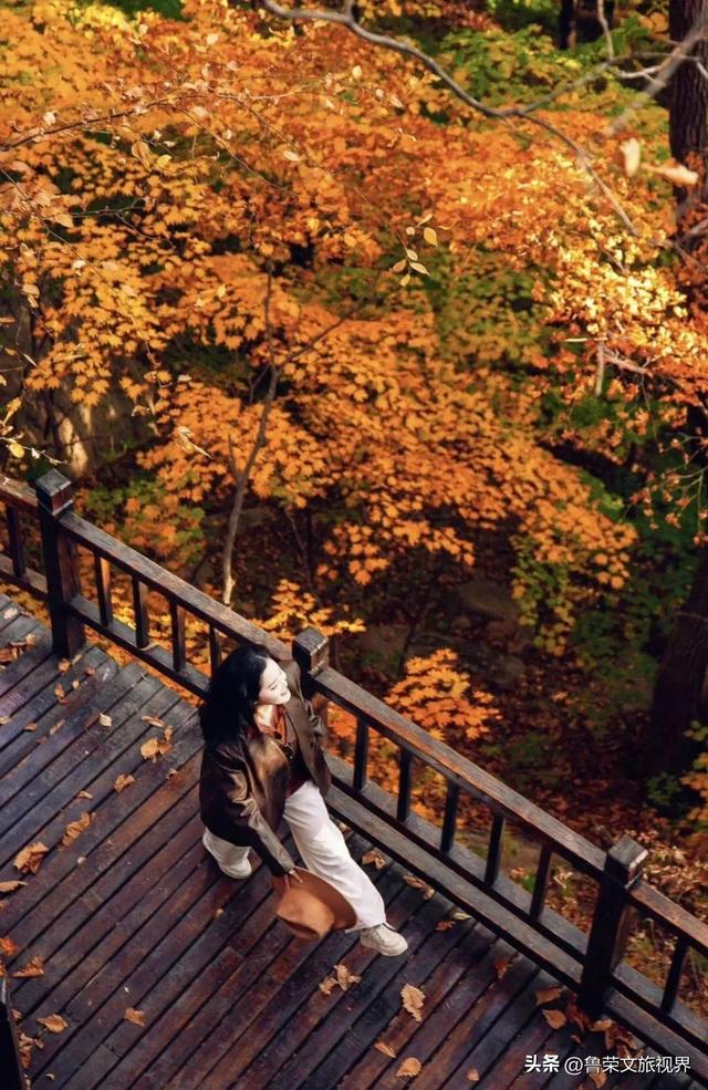 本溪：北国红枫深处的诗意秘境