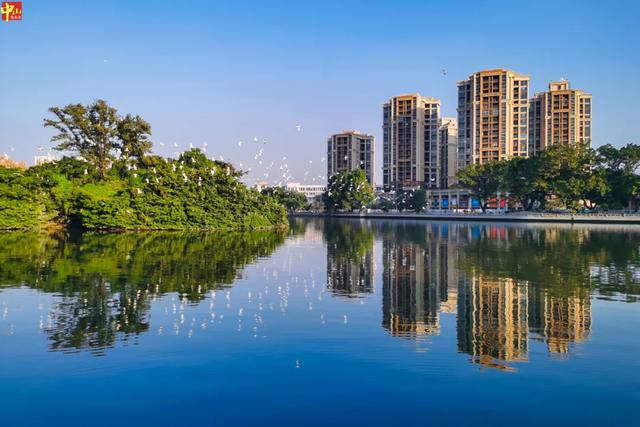 中山网红夜市近日开市！| 中山镇街