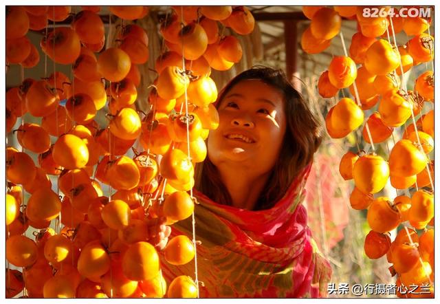 山东行游影记（194）—青州仰天山柿子沟（二）
