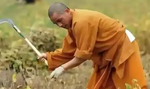释永信被带走才13天，令人担忧的事发生了，少林寺一个决定遭质疑