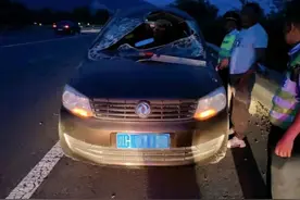 保持安全车距 切勿随意变道丨夏季行动图片