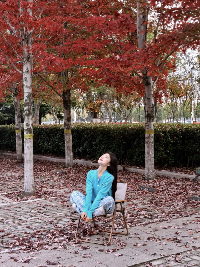 临沂市区赏秋地图出炉！红枫、银杏、落叶道…承包你的秋日朋友圈