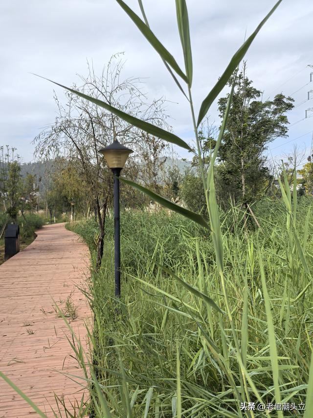 冬天的早上 晒着太阳从大观楼徒步到西山茶马花街 是什么样的感受？