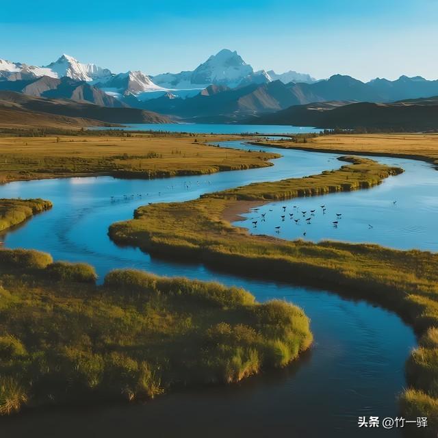 西藏嘎朗湿地：藏东南的隐秘莲花