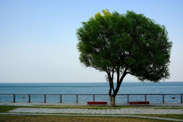 韩国背包客席卷青岛，啤酒不喝、栈桥不打卡，此行目的成谜？