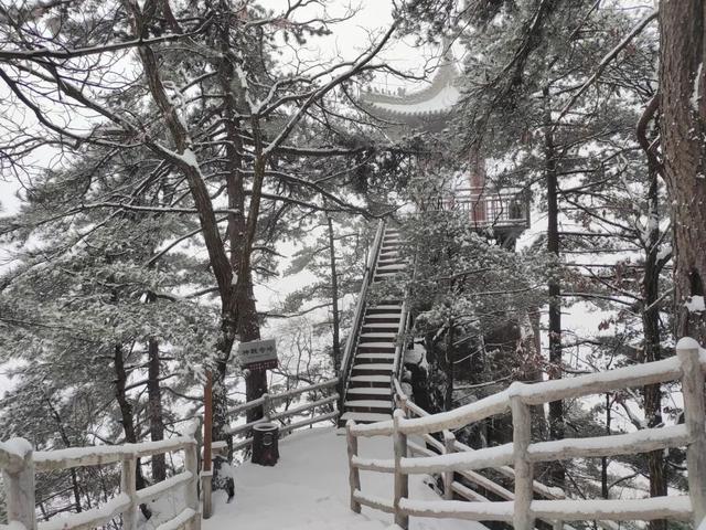 告别秋景，奔赴鸡峰山的第一场雪｜冬日旅行启动
