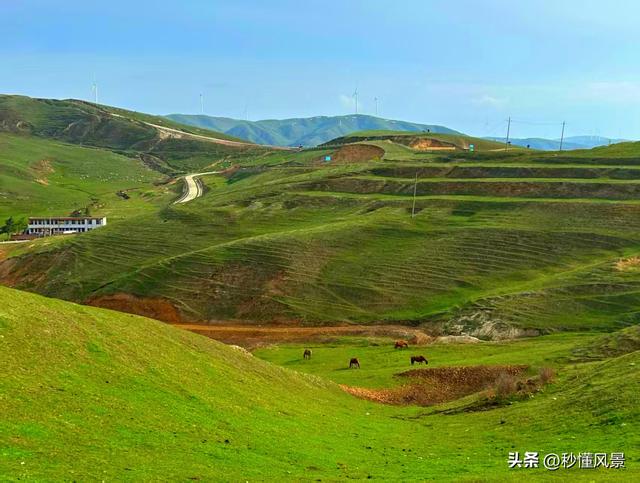 离西安最近的“草原天路”，车可以开到海拔2400多米的山顶！