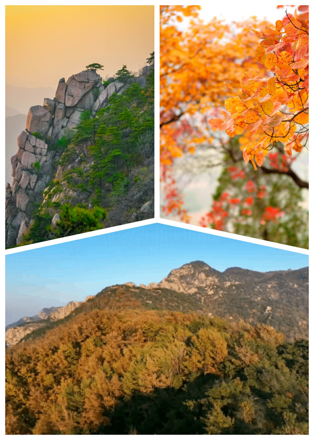 别再问周末去哪玩了！来蒙山承包你的快乐时光！