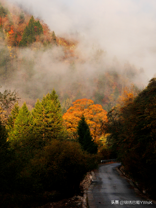 绵阳公路：普通公路服务区助力交旅融合发展