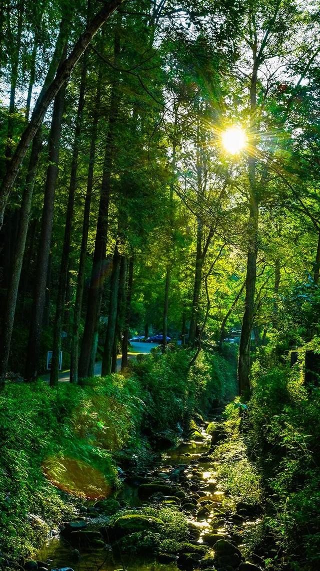 彭州这条“世界级”徒步线，走起！