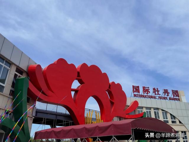 做几天洛阳人——游河南洛阳赏牡丹芬芳 总体概述(四)