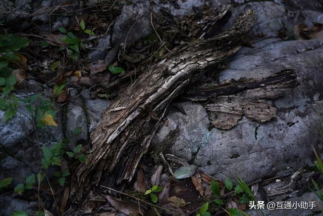 高品质成像：大光圈变焦镜头腾龙 35-150mm F/2-2.8 Di III VXD 评测