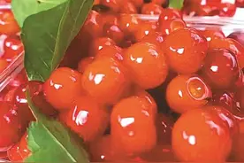 外地“恩桃儿”达城抢“鲜”上市 市民周末即可采摘本地樱桃图片