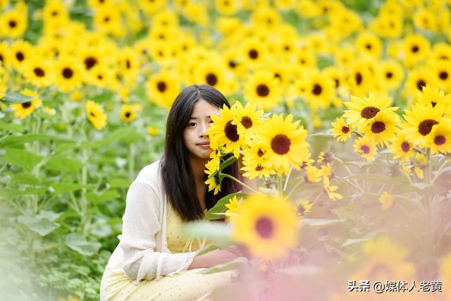 六盘水明湖百余亩花田盛开引游客赏花入画来