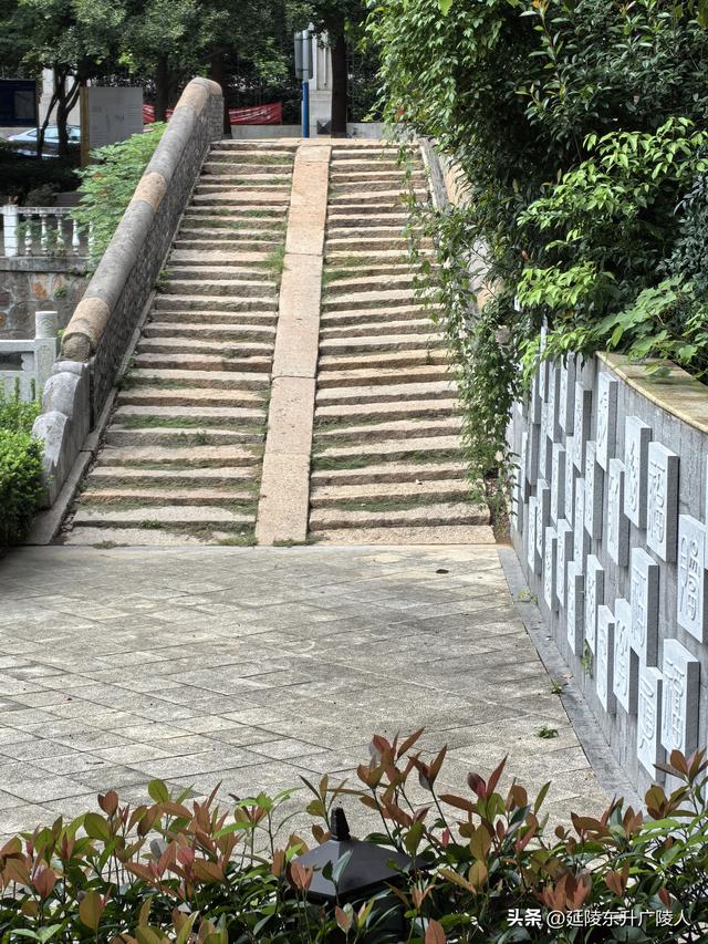 木槿花开时 再探常州万福桥