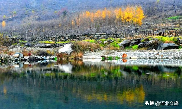 李子柒式的诗意栖居，赞皇也有！