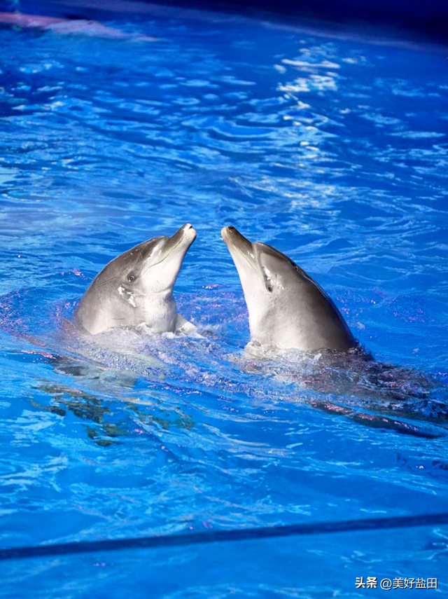 反向旅游，你不知道深圳的海有多绝