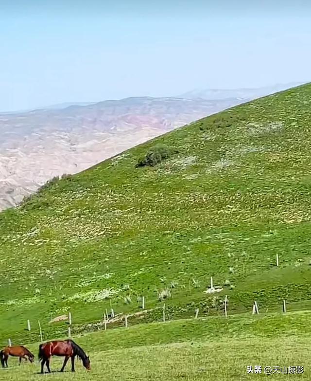 南山南